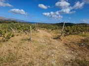 Elliniko Kreta, Elliniko: Grundstück mit Meerblick und hohen Baurechten zu verkaufen Grundstück kaufen